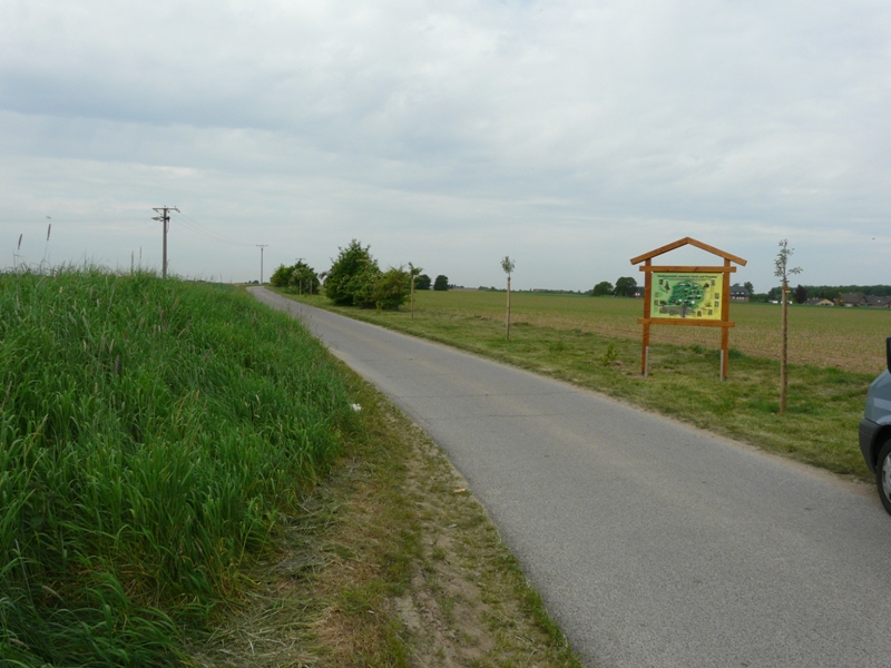 Ortsring 2011 095.jpg